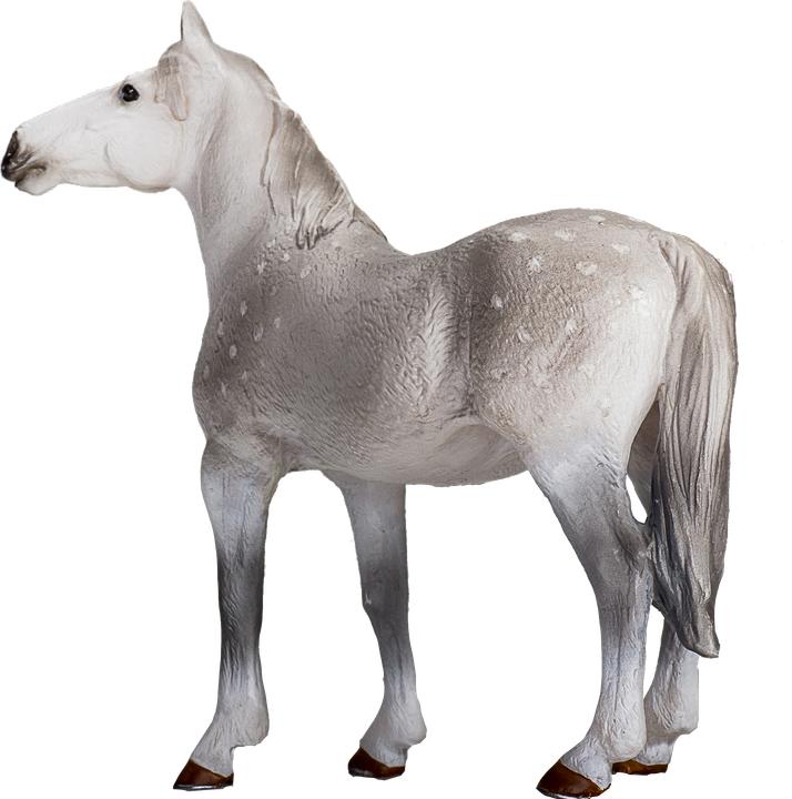 Produktbild Mojo Orlow-Traber