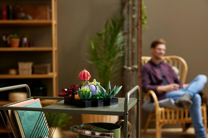 Image du produit LEGO Les succulentes (10309, LEGO Botanical, LEGO difficiles à trouver)