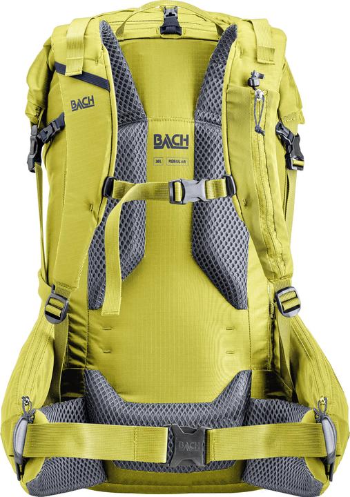 Actual product image Bach Molecule 30 (30 l)
