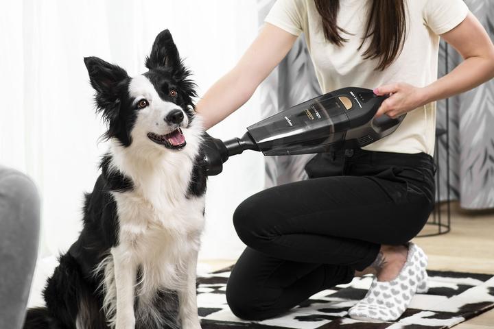 Actual product image Concept VP4353 handheld vacuum Black Bagless