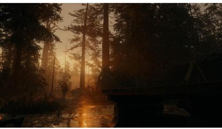 Productafbeelding Epic Alan Wake 2 - Deluxe editie (PS5, DE)