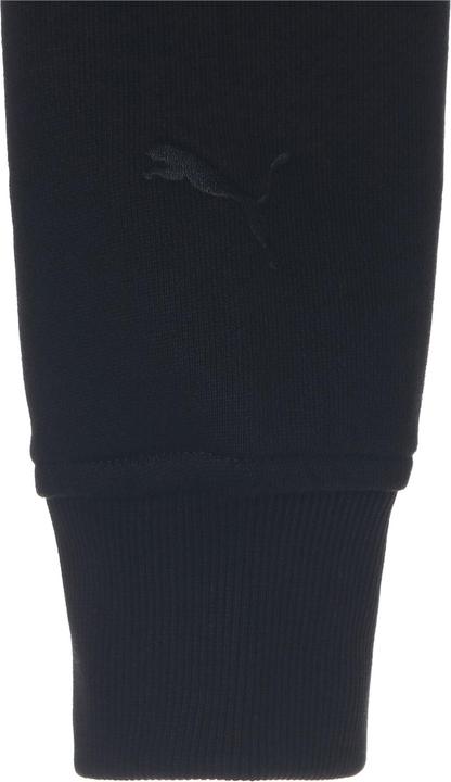 Actual product image Puma BMW M Hoodie 50TH (M)