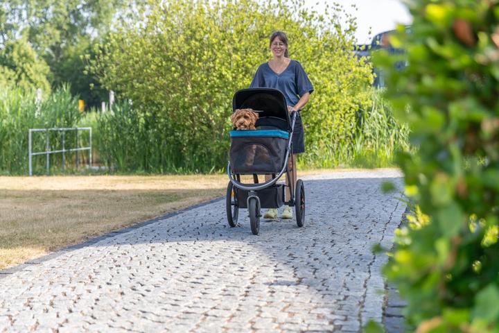 Produktbild Trixie Buggy (Katze, Hund, Komplett zu öffnen)