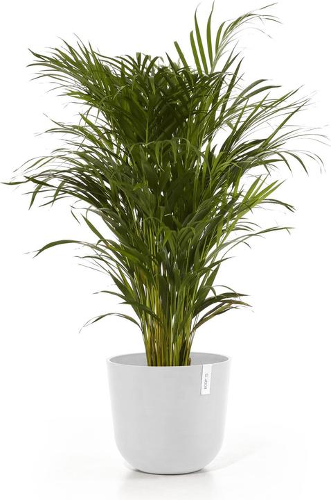 Produktbild Ecopots Oslo (35 cm)