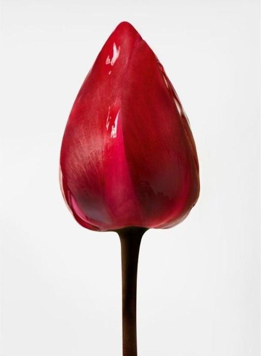 Produktbild Shu Uemura Essence Absolue Nourishing Soothing Scalp Oil Concentrate (50 ml)