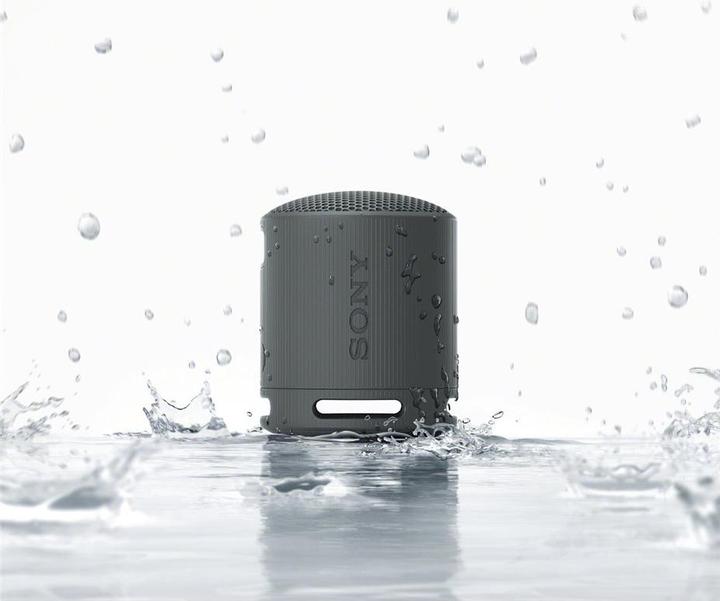 Productafbeelding Sony SRS-XB100 (16 h, Oplaadbare batterij)