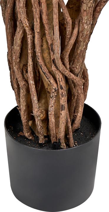 Produktbild Beliani Willow Tree (180 cm)