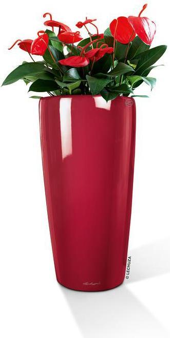 Immagine prodotto Lechuza Rondo (32.50 x 56.50 cm)