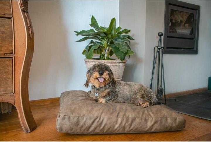 Produktbild Kerbl Let's Sleep Plush Pillow Hundebett L Anthrazit (Hund)