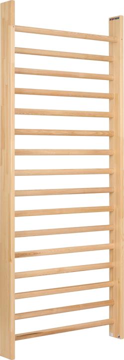 Sport-Thieme Wall bars single panel, 240x100 cm