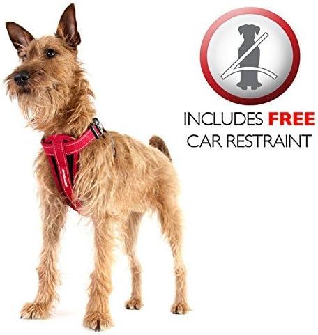 Produktbild EzyDog Hundegeschirr mit Sicherheitsgurt (XS, Hund, Allgemein)