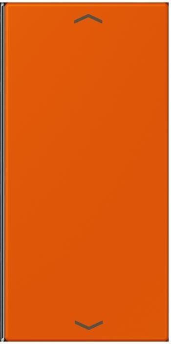 Actual product image JUNG Key