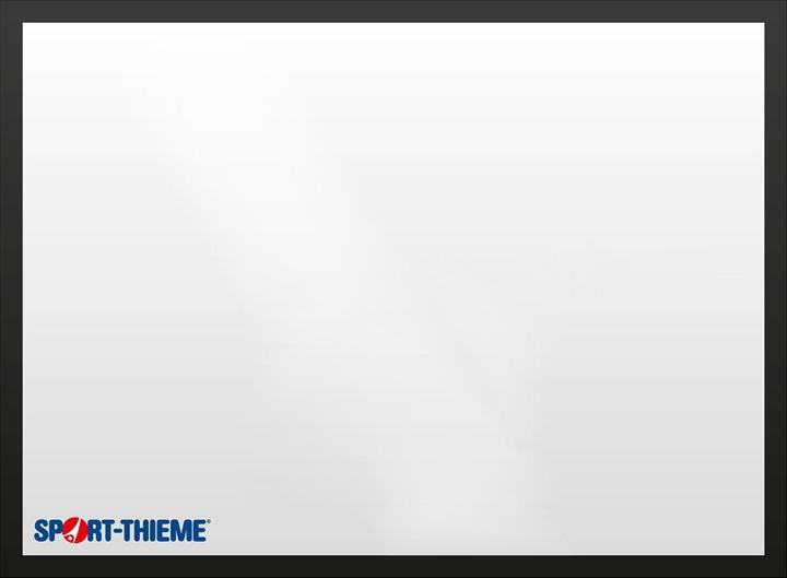 Sport-Thieme Basketball-Zielbrett Multiplex