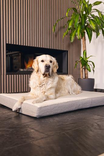 Produktbild Beeztees Zira (Hund)