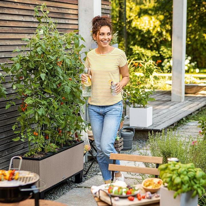 Actual product image Lechuza Trio Cottage (32 cm)