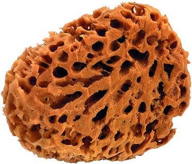 Produktbild Werkstarck Naturschwämme (1 Stk.)