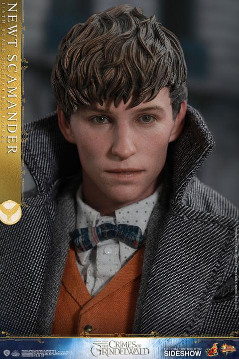 Actual product image Hot Toys Fantastic Beasts 2 "Newt Scamander" 1/6 Scale Figure