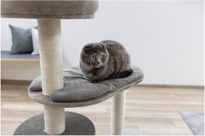 Actual product image Kerbl Scratching post Giselle (117 cm, Taupe)