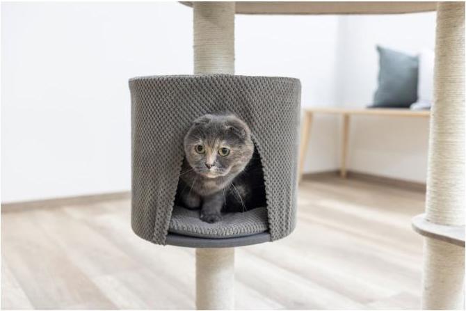 Actual product image Kerbl Scratching post Giselle (117 cm, Taupe)