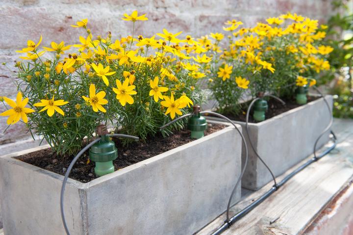 Actual product image Blumat Hose connector (Drip irrigation connector + branch)