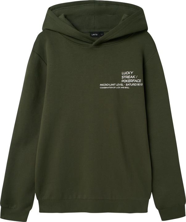 Produktbild Lmtd Regular Fit Hoodie (122)