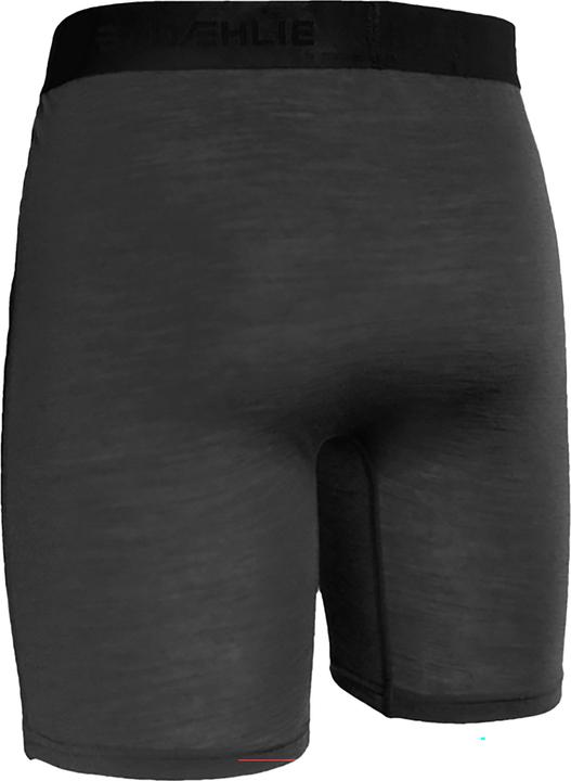 Actual product image Daehlie M Boxer Wind Wool (L)