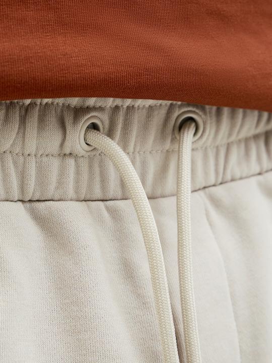 Produktbild Jack & Jones Jpstgordon Bradley Sweat Shorts Lng Sn (L)