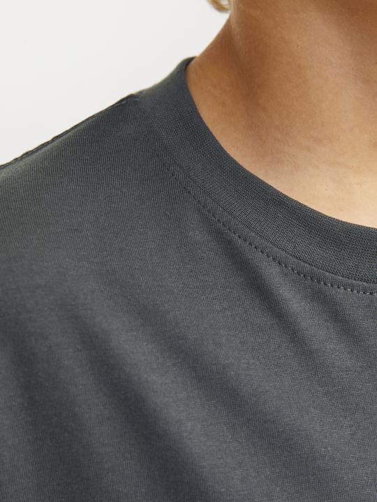 Produktbild Jack & Jones Jorvesterbro Tee Ss Crew Neck Noos Mni (122)