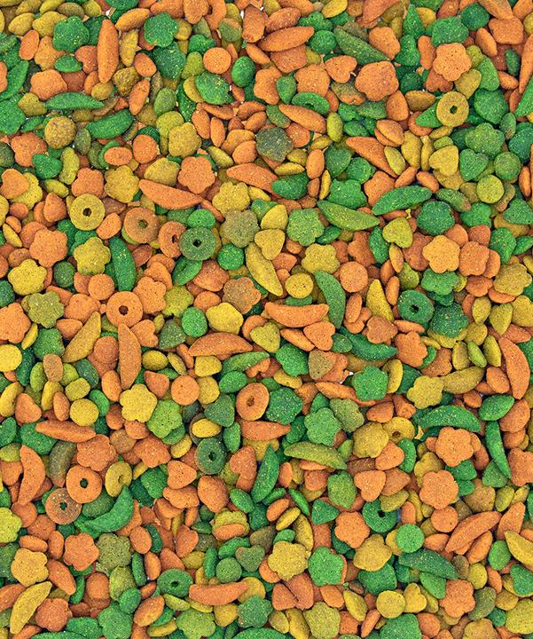 Actual product image Versele Laga NutriBird P15 Tropical, entretien pour perroquets, 1 kg (1 x, 1 kg)