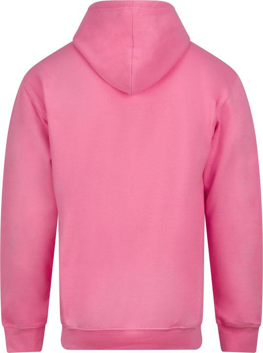 Produktbild Just Hoods College Hoodie (L)