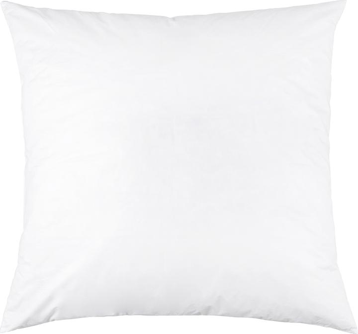 Image du produit Lipo Kopfkissen (65 x 65 cm)