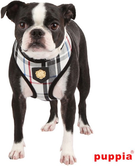 Produktbild Puppia Junior A Geschirr (XS, Hund, Spazieren)