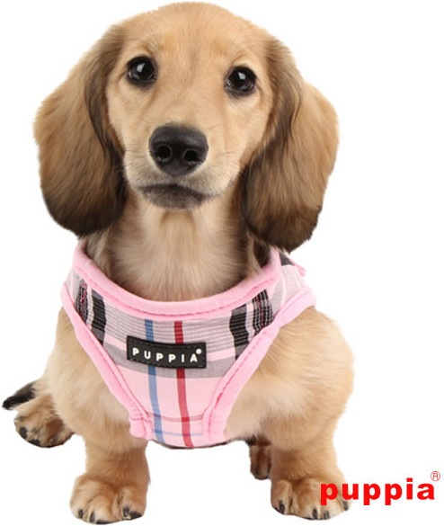 Actual product image Puppia Junior A Harnais (XL, Dog, Walks)