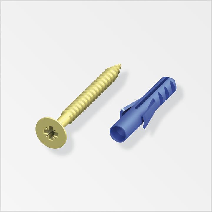 Actual product image Alfer Screws and dowels (10 pcs.)