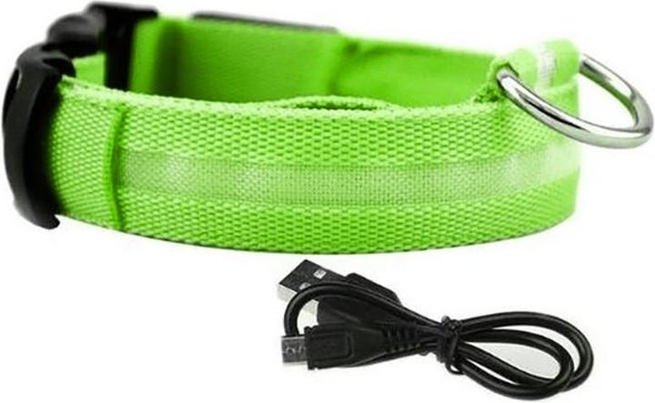 Image du produit Cbx Collier de chien à LED rechargeable taille M - 40-46cm (M, Chien)