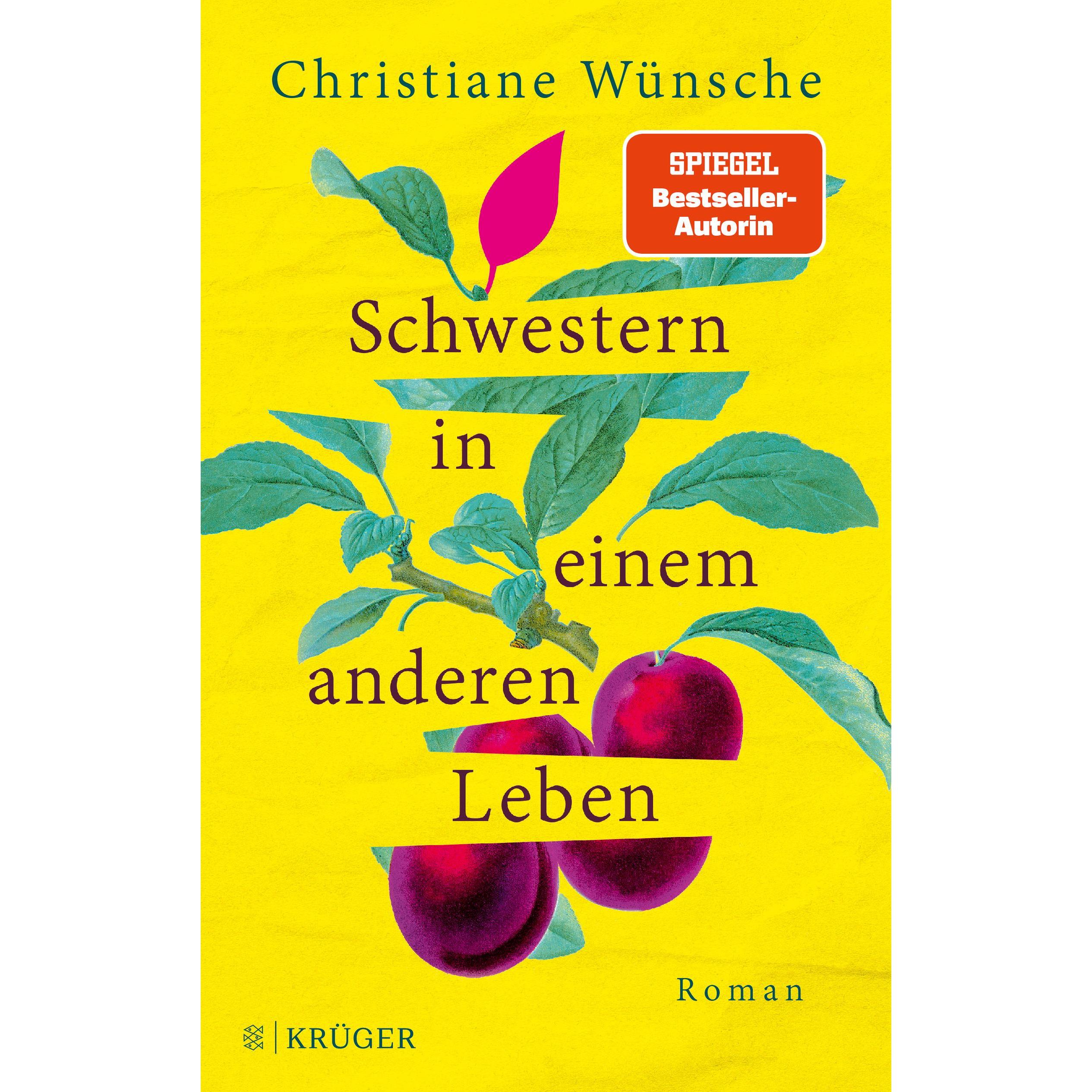 Schwestern in einem anderen Leben, Belletristik von Christiane Wünsche