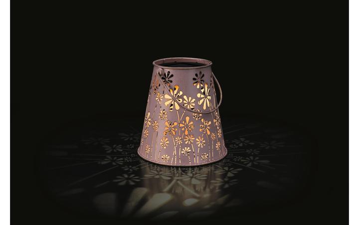 Image du produit STT Antic Daisy