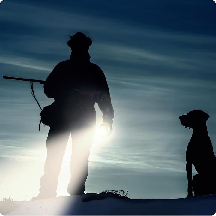 Produktbild Ansmann ProfiHandscheinwerfer HS20R Pro (21.60 cm, 1700 lm)