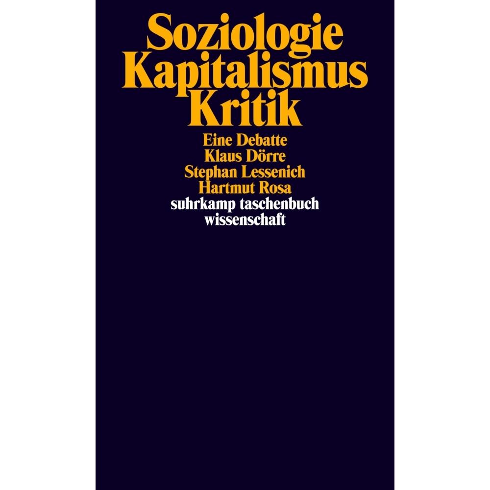 Soziologie - Kapitalismus - Kritik, Fachbücher von Hartmut Rosa