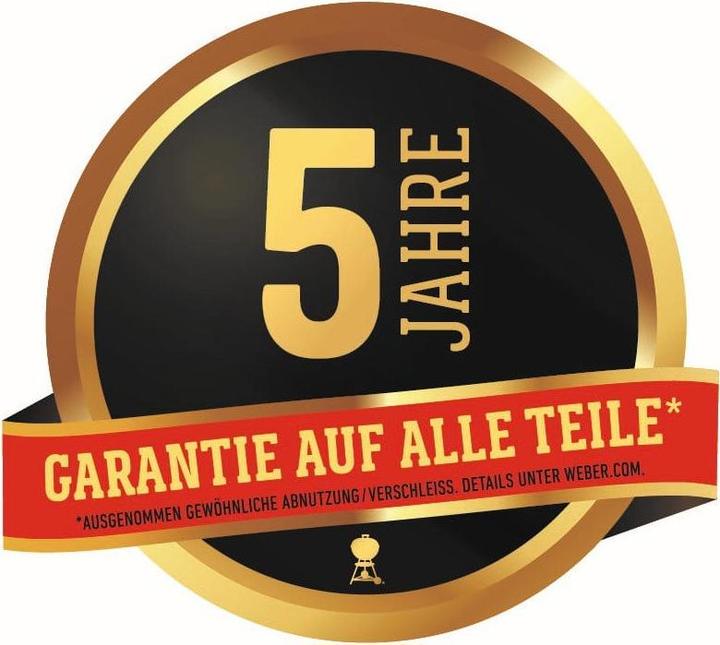 Image du produit Weber Pulse 2000 avec support (2.20 kW)