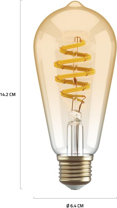 Actual product image Hombli Filament Bulb CCT E27 ST64 (E27, 5.50 W, 300 lm, 1 x, G)