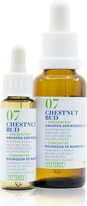 Actual product image Phytomed Bachblüten No7 Knospen der Rosskastanie (1 Piece, Droplet, 24 g)