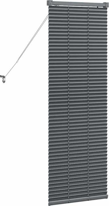 Produktbild vidaXL Balkenjalousien (220 x 75 cm)