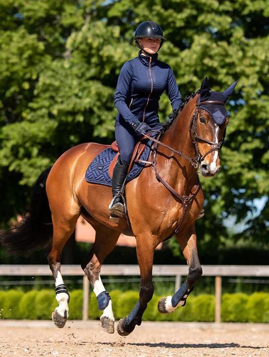 Actual product image Equestrian Stockholm Modern