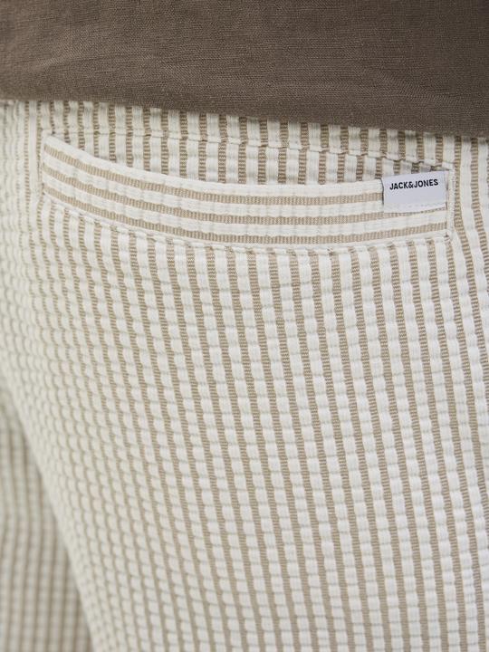 Actual product image Jack & Jones Jpstjaiden May Jogger Shorts Mid Sn (L)