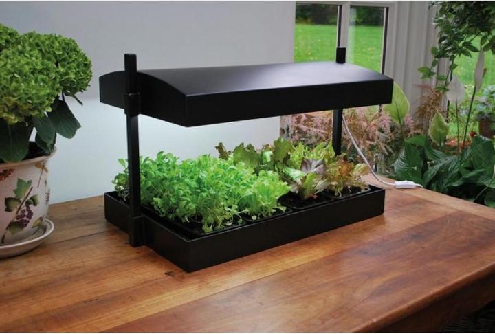 Garland Grow Light Garden
