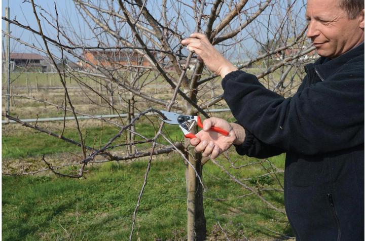 Produktbild Felco 500