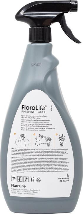 Produktbild Oasis Finishing Touch (1x)