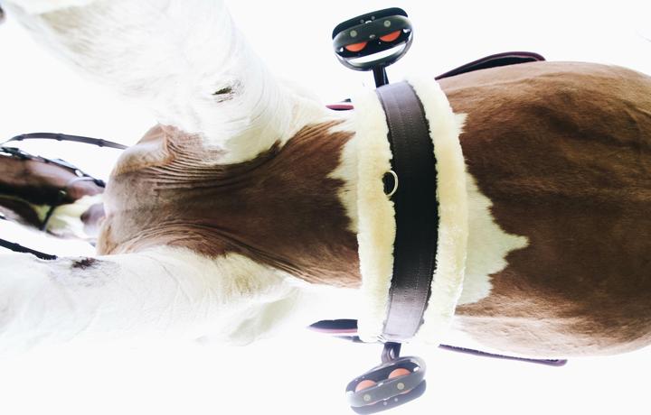 Immagine prodotto Kentucky Horsewear Sottopancia da sella con pelle d'agnello artificiale