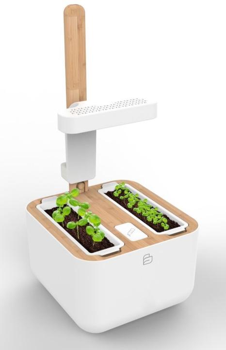 Immagine prodotto Véritable Botaneo Eylo (18.40 cm)